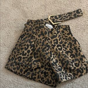High Waist Leopard Print Women's Shorts